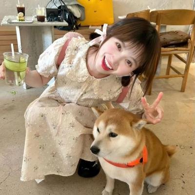 赛马娘 新时代之扉