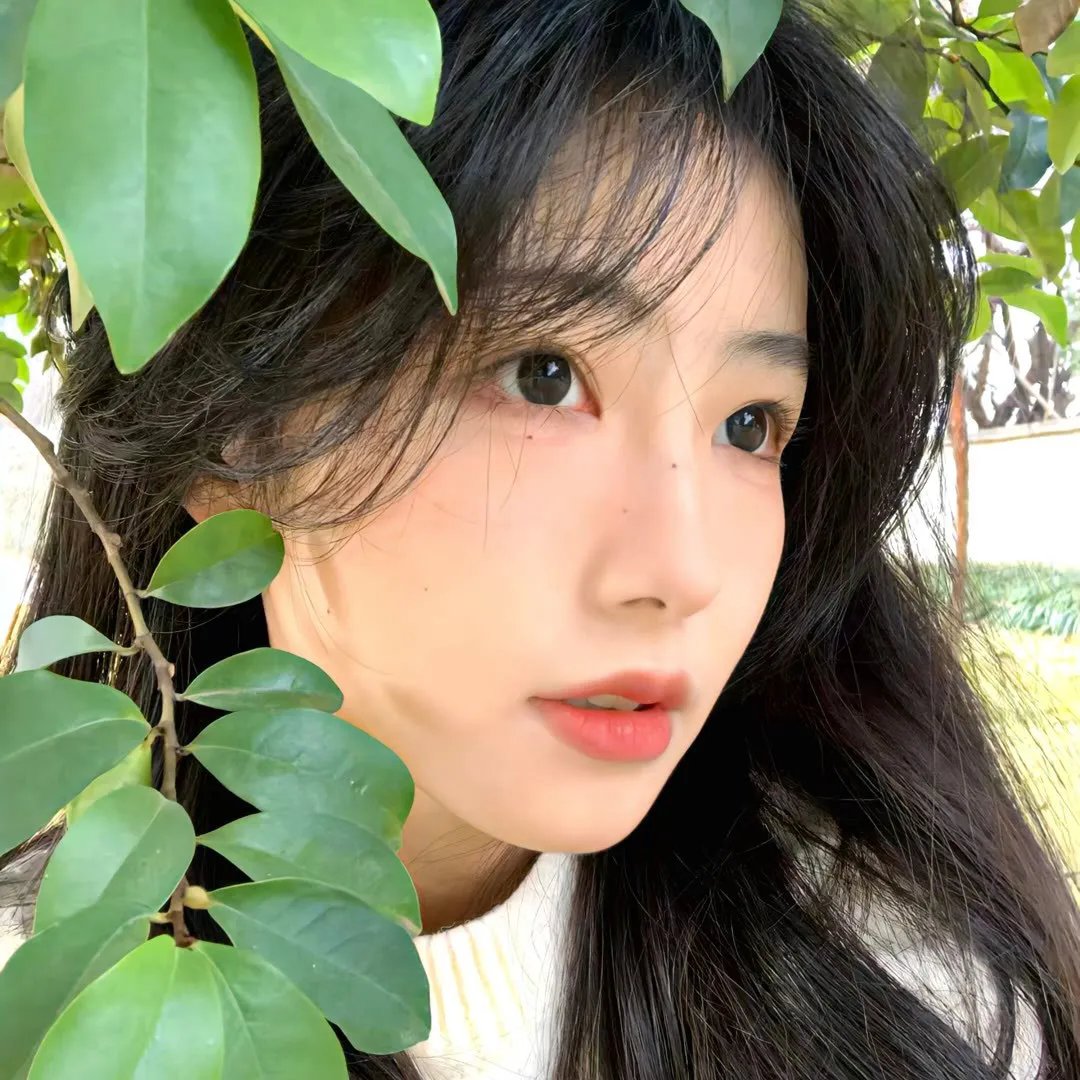 狂飙的蜗牛